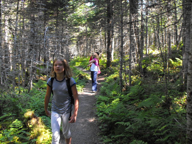 NFLD_drive_to_and-viking_settlement 091.jpg